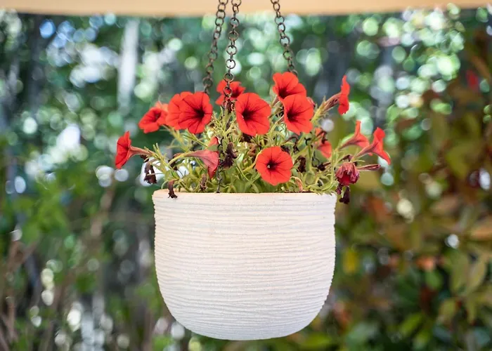 Trullo Leone Casa de Férias Martina Franca