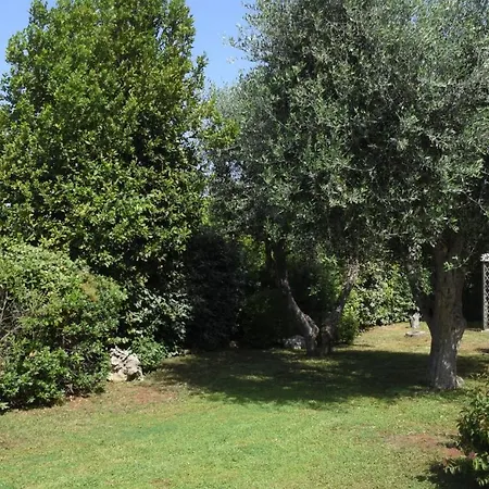 Trullo Leone * 马丁纳弗兰卡