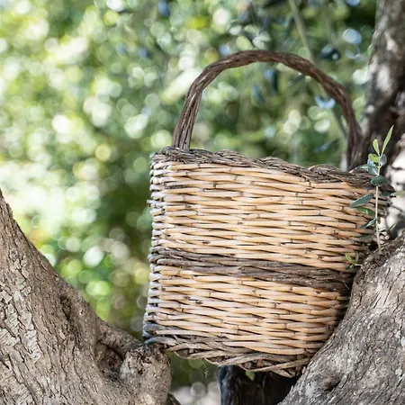 Trullo Leone 마르티나프란카