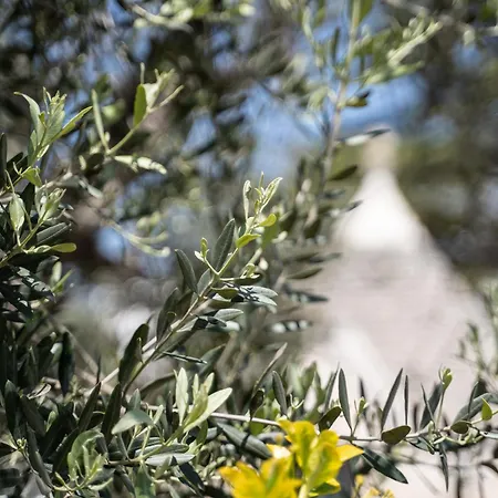 Trullo Leone