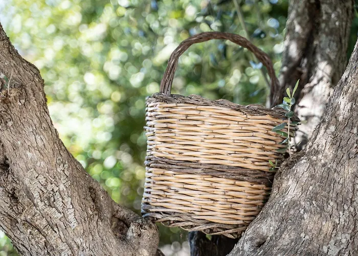 Trullo Leone Martina Franca